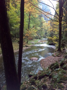 Herbstbild