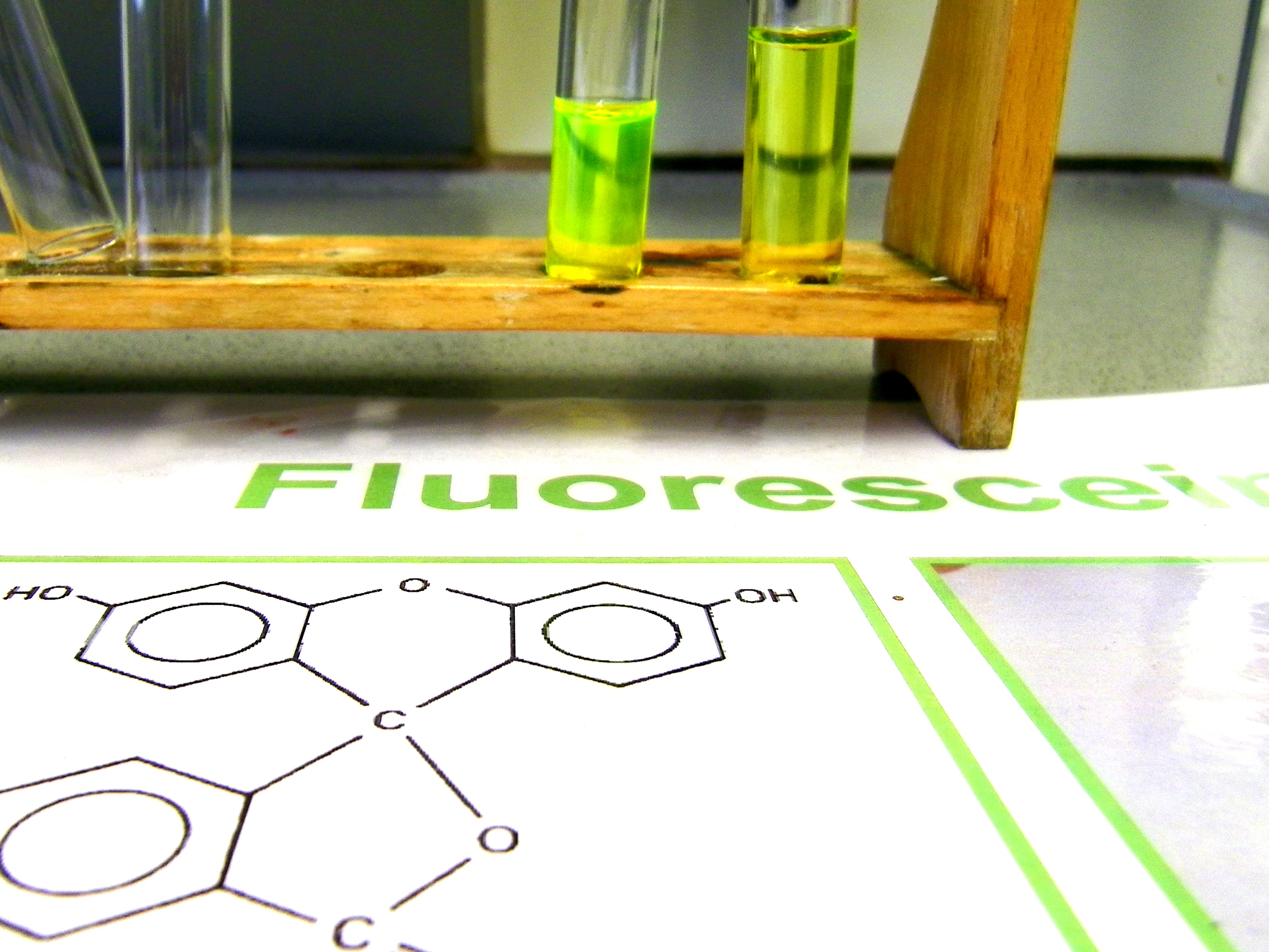 Fluorescein